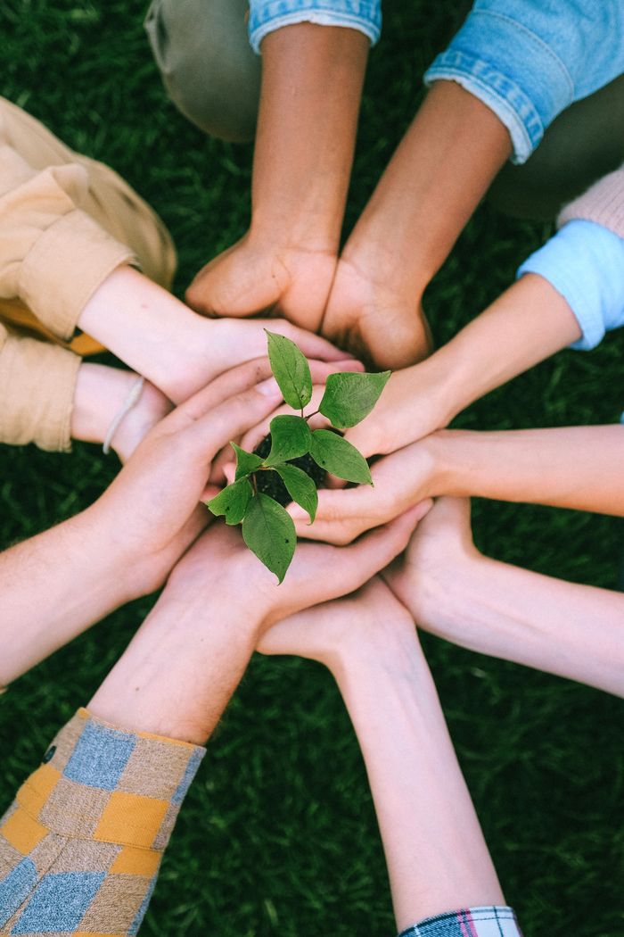 services-01 Hands united around a plant symbolizing teamwork and eco-friendly efforts outdoors.
