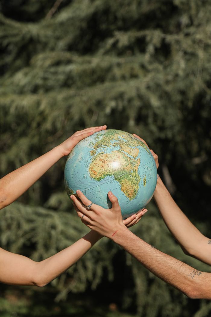 services-02 Four hands holding a globe outdoors, symbolizing unity and environmental conservation.